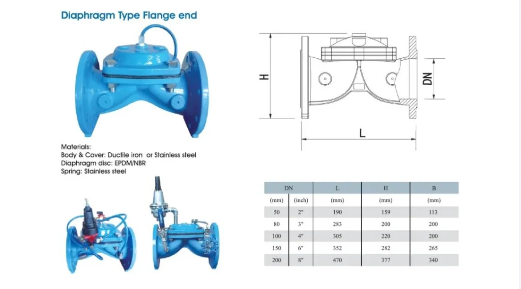 API Cast Steel Pressure Seal Swing Check Valve