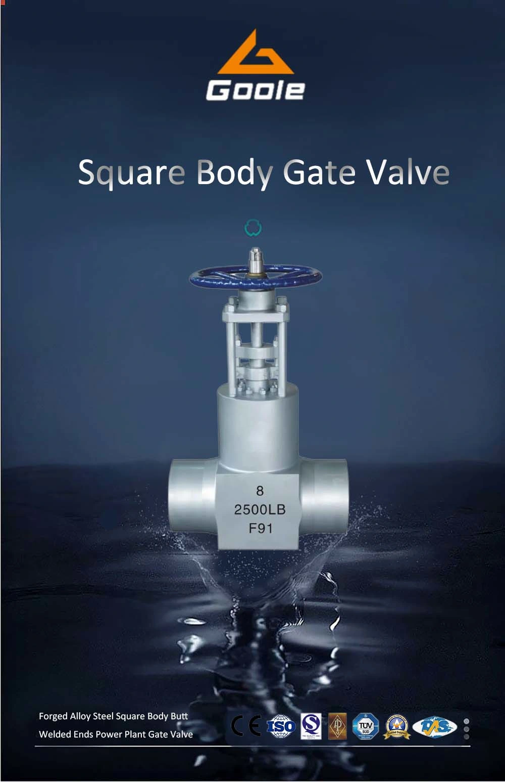 Z61y High Temperature High Pressure Power Plant Pressure Seal Bonnet Gate Valve