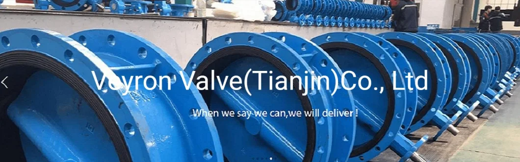 DN350 CF8 SS304 Metal Seated Triple Eccentric Offset Double Flanged Butterfly Valve