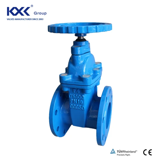 Hot Selling Cast Iron Pressure DN50/DN100 Seal Vanne