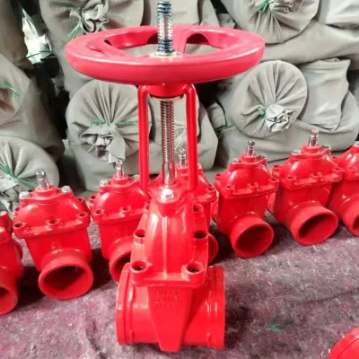 FM Approuvé UL Nrs Type-Groove-Groove Ends 10 Inch Pressure Seal Gate Valve Class 150